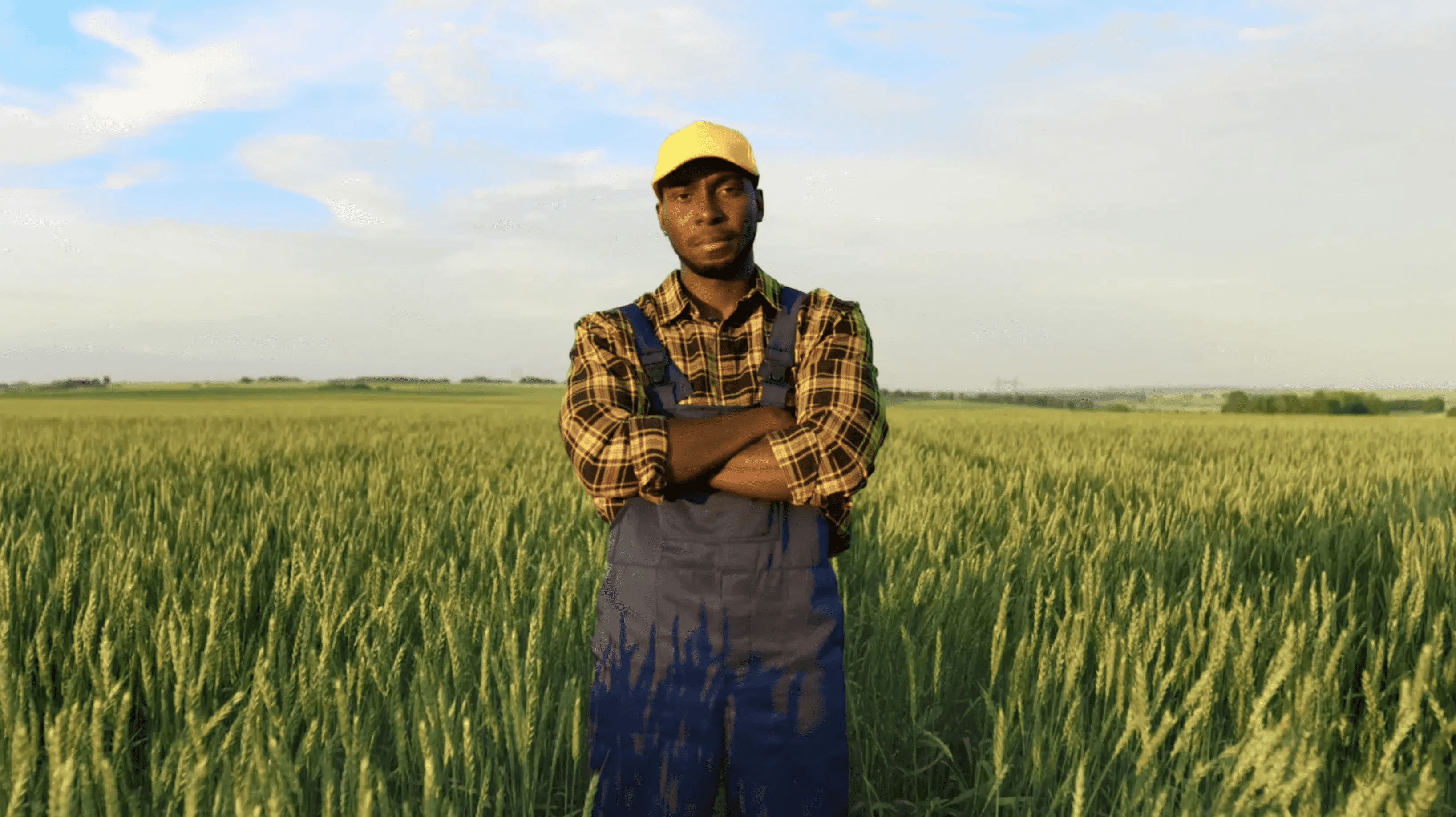 TAO Agriculture Background 1